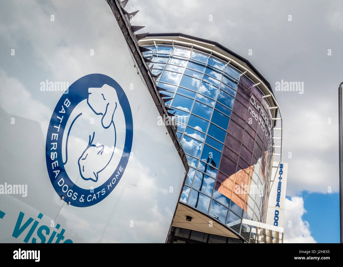 Battersea cani e gatti Casa di Londra, Regno Unito. Foto Stock