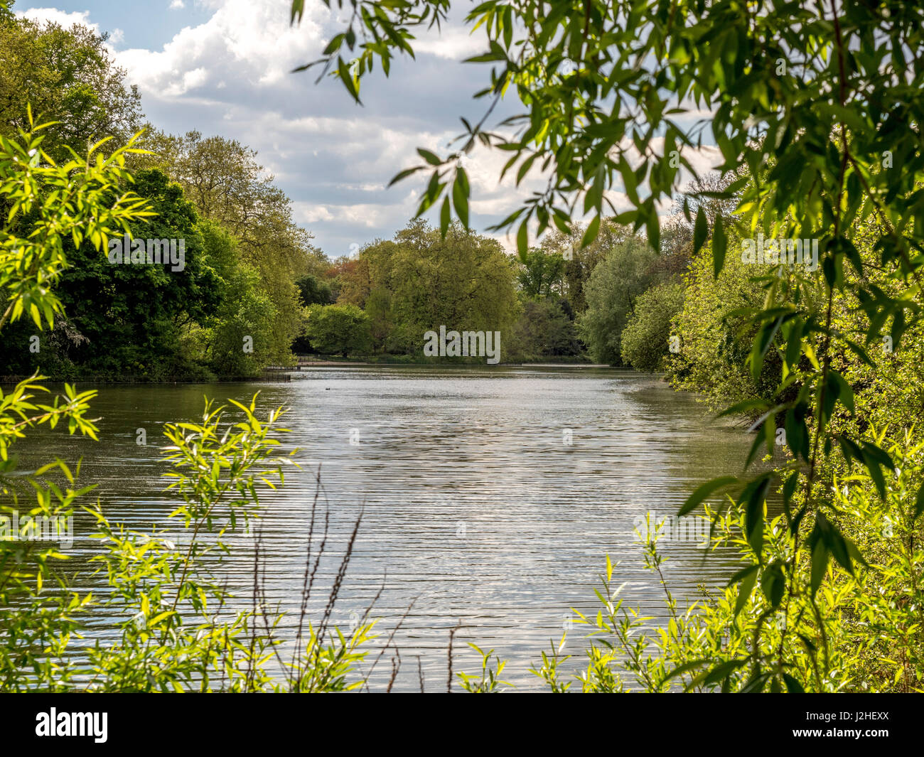 Battersea Park nel quartiere di Wandsworth, a sud del fiume Tamigi, Londra, Regno Unito. Foto Stock