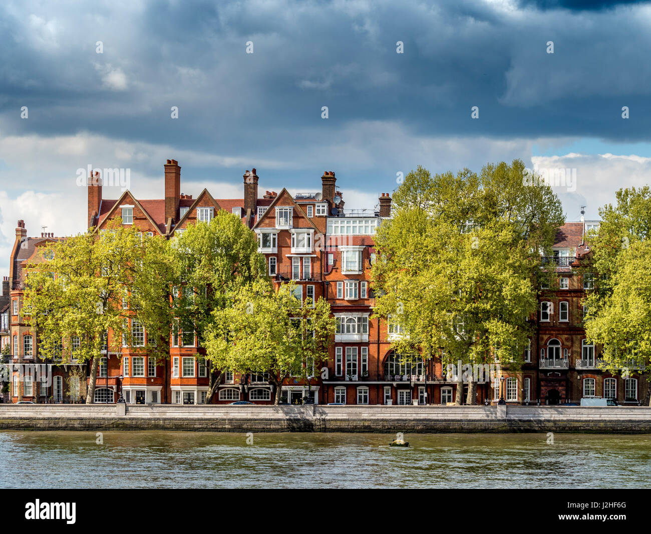 Case lungo il Chelsea Embankment, a nord del fiume Thames, London, Regno Unito. Foto Stock
