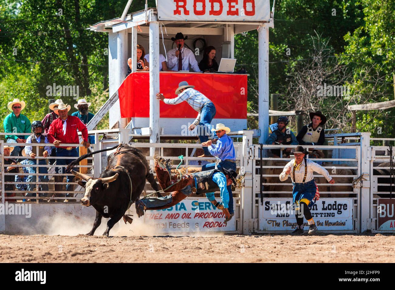 Bull Rider essendo gettati fuori di Bull, Augusta Rodeo, Augusta, Montana Foto Stock