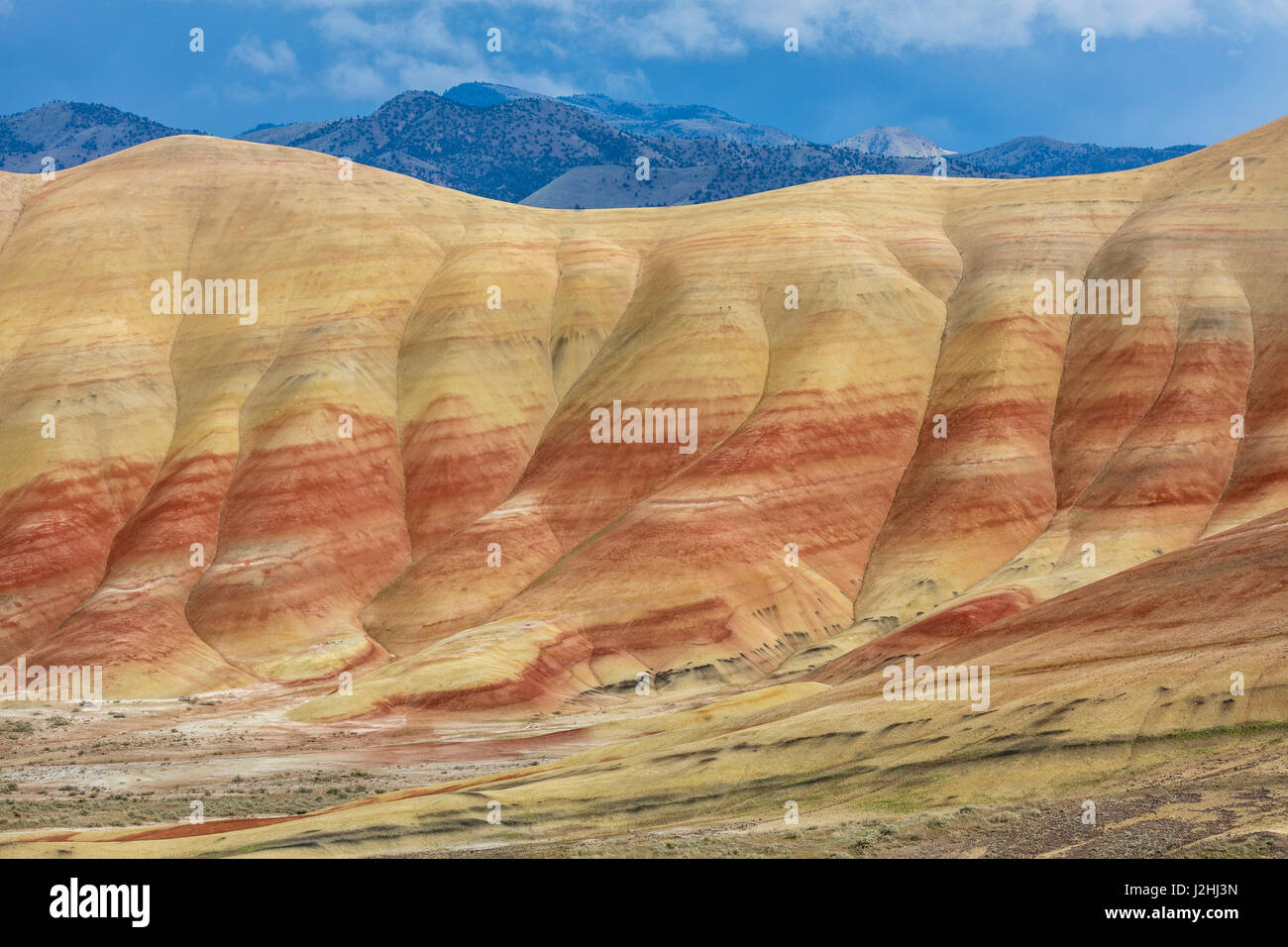 Stati Uniti d'America, Oregon, John Day Fossil Beds National Monument. Paesaggio di colline dipinte di unità. Credito come: Don Paulson Jaynes / Galleria / DanitaDelimont.com Foto Stock