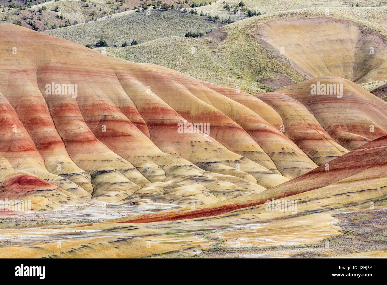 Stati Uniti d'America, Oregon, John Day Fossil Beds National Monument. Paesaggio di colline dipinte di unità. Credito come: Don Paulson Jaynes / Galleria / DanitaDelimont.com Foto Stock
