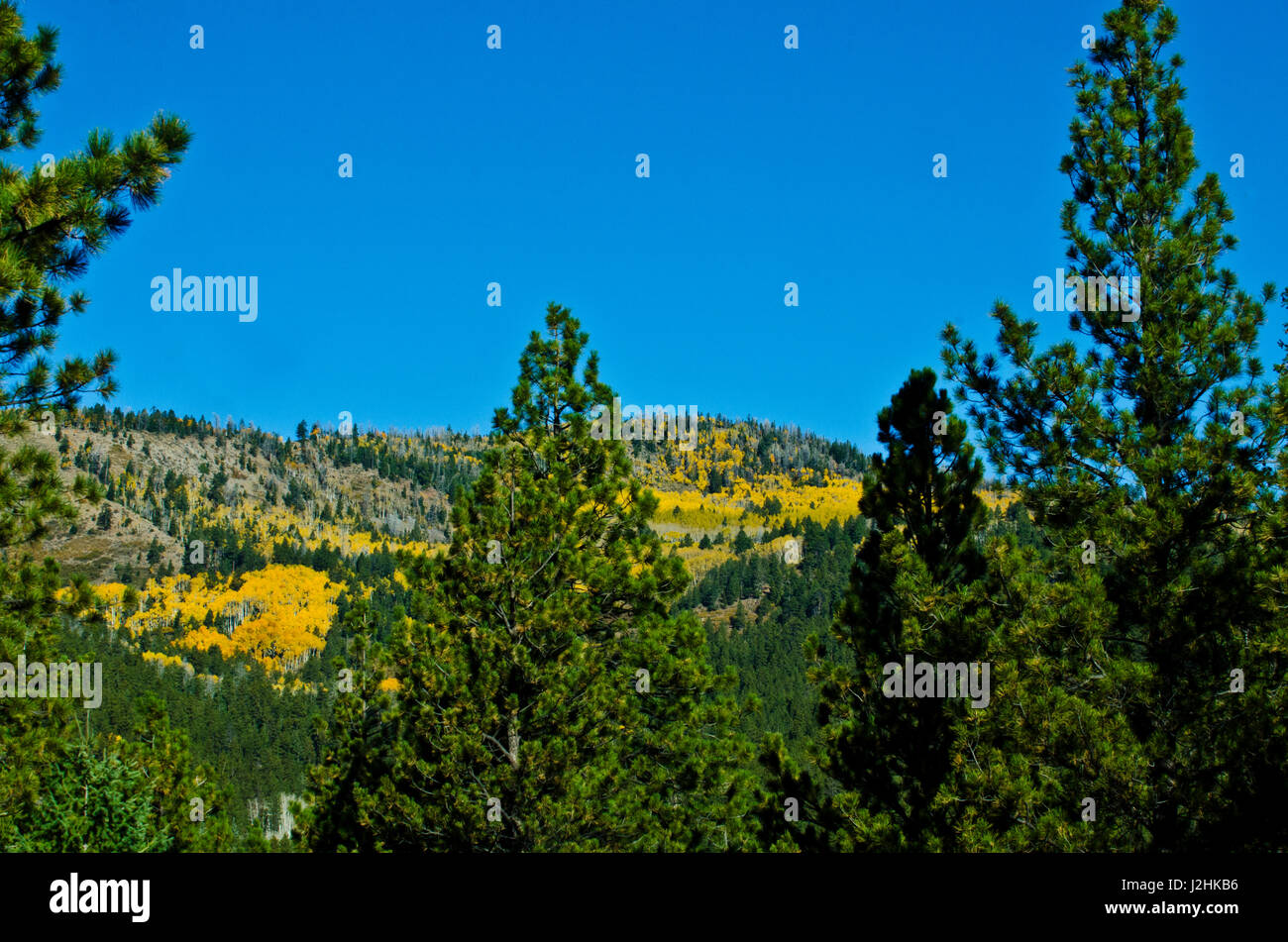 Stati Uniti d'America, Utah, Boulder, Escalante, Box-Death deserto cava, Vistas da Pino Creek-Hell's Backbone stupende strade Autunno a colori Foto Stock