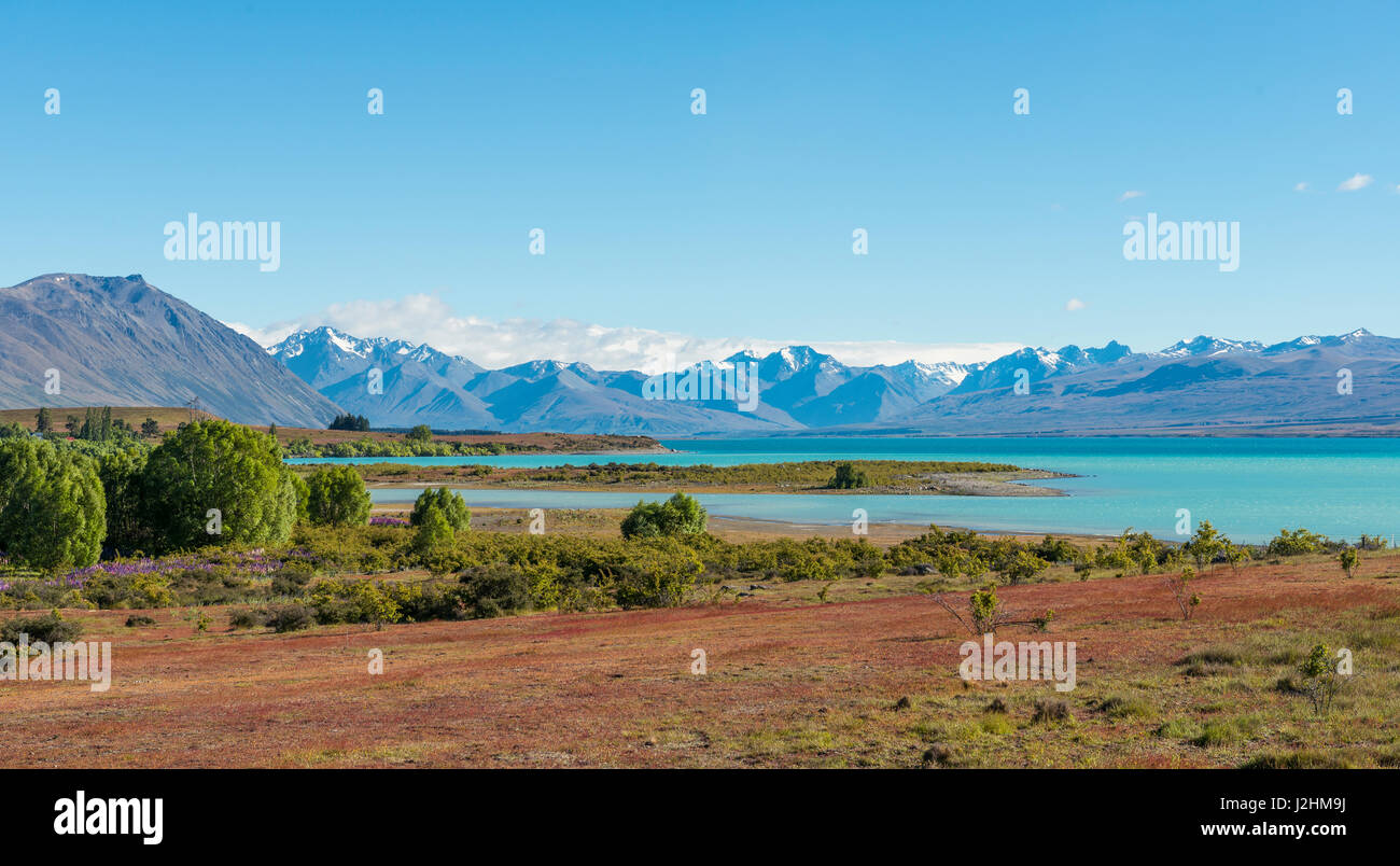 Vista del Lago Tekapo e il Sud delle Alpi, la regione di Canterbury, Southland, Nuova Zelanda Foto Stock
