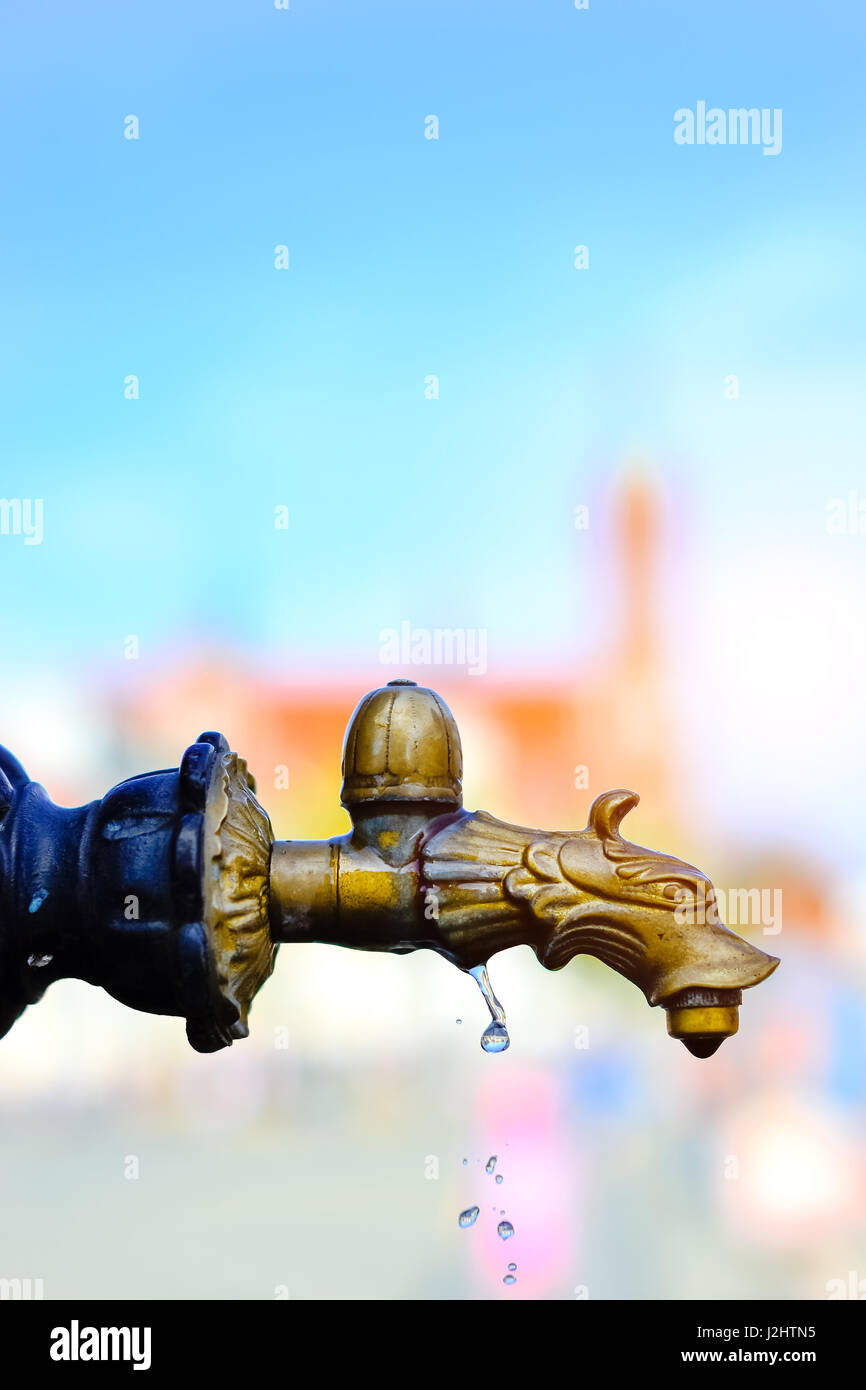 Golden decoro urbano intagliato rubinetto di acqua potabile di fontana sulla piazza centrale del mercato Kosciusko. Caronno Varesino, Italia Foto Stock