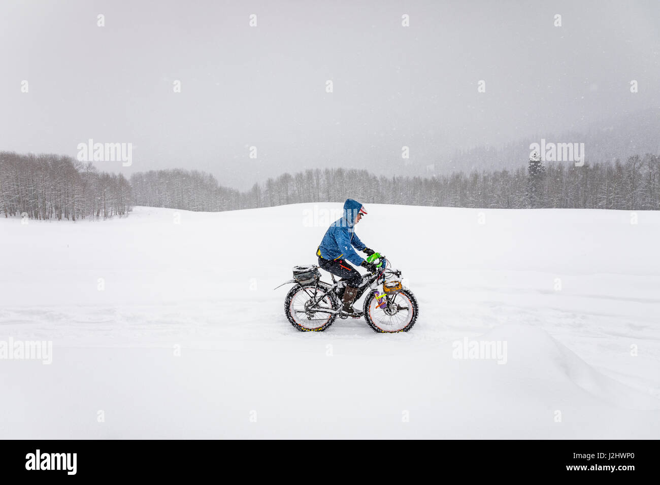Uomo in sella a una moto di grasso nella neve durante il cono Lone Fat Bike Challenge, Norwood CO. Foto Stock