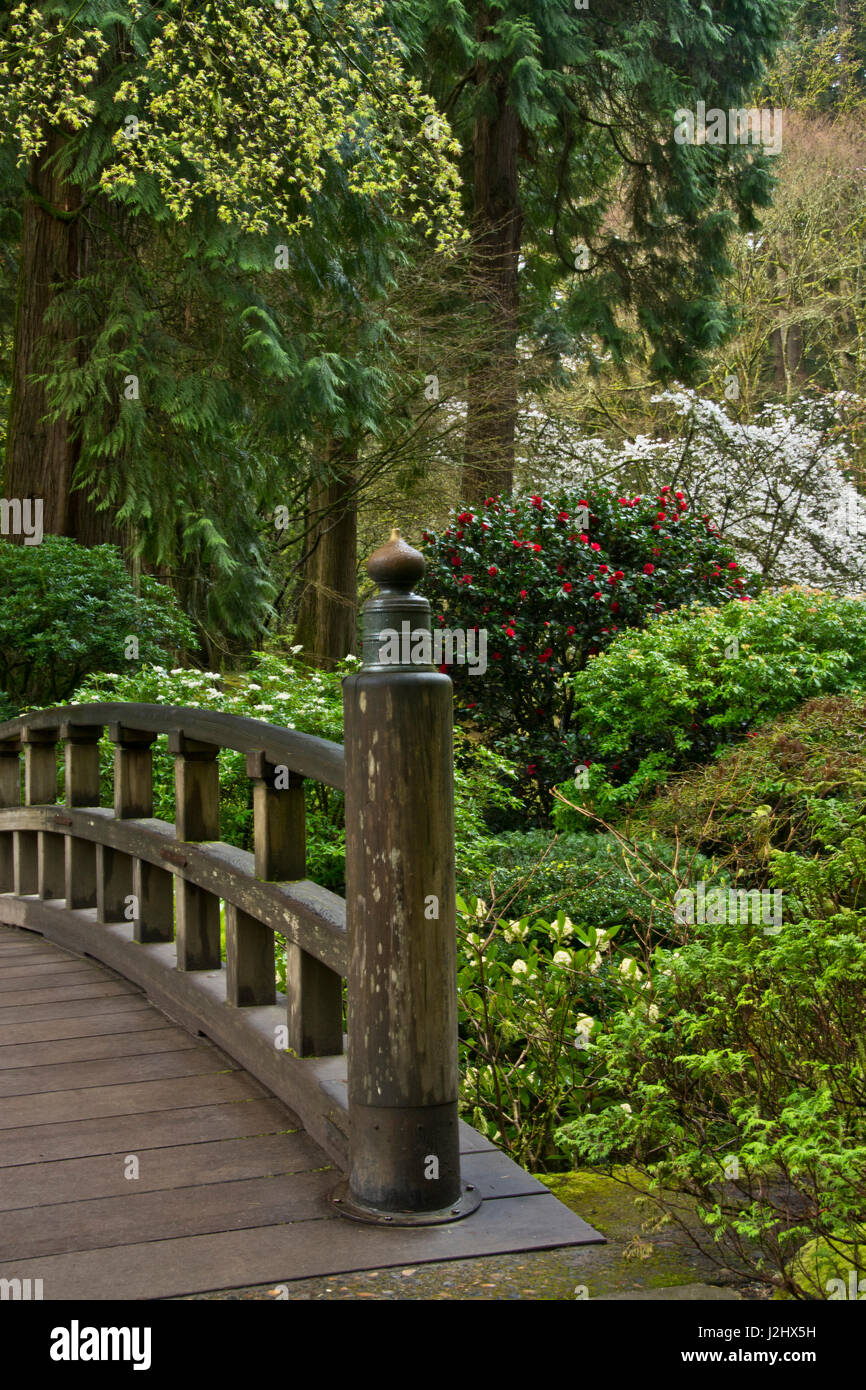 Ponte della Luna, passeggiando giardino, Portland Giardino Giapponese, Portland, Oregon, Stati Uniti d'America Foto Stock