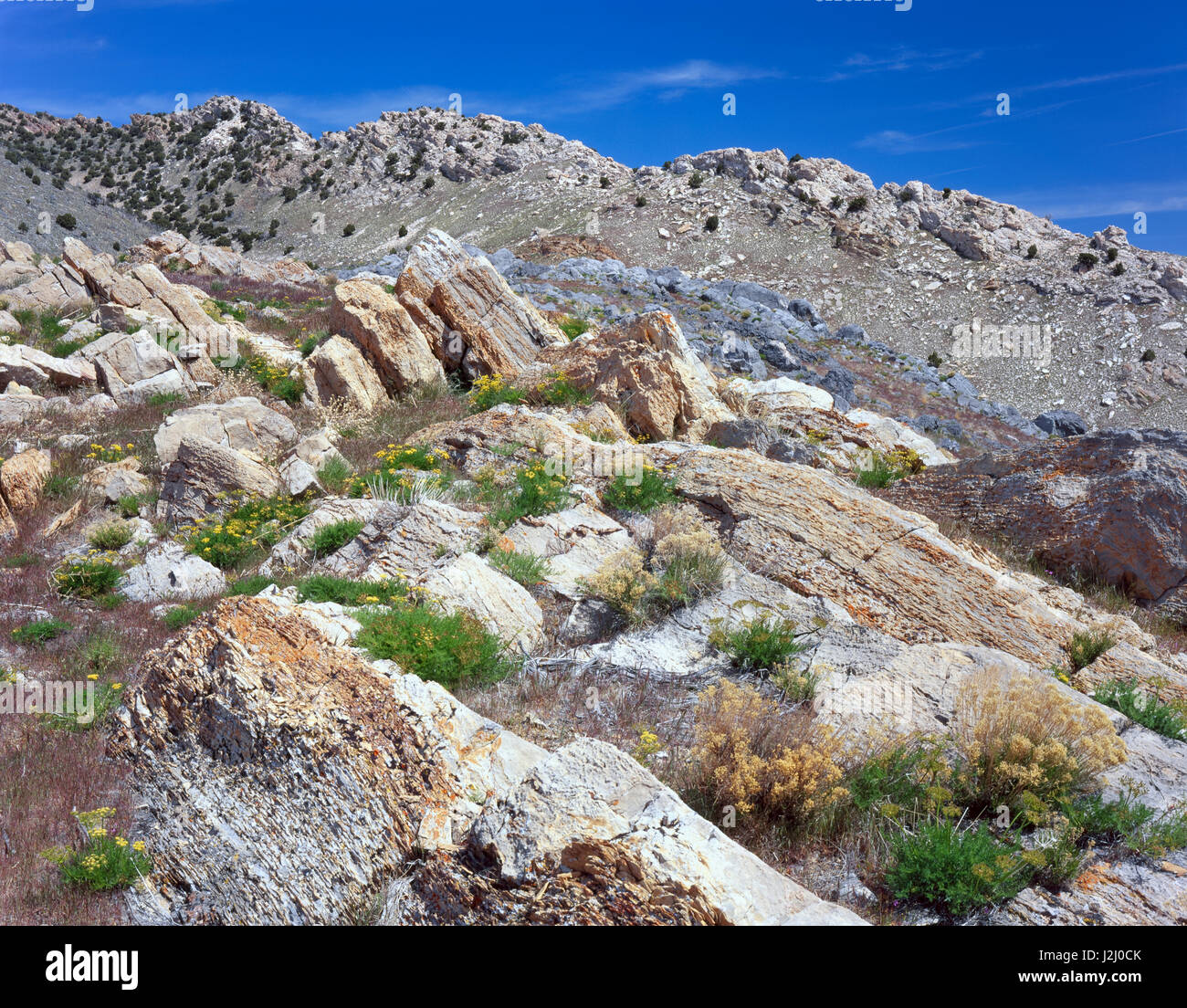 Utah. Stati Uniti d'America. Inclinato Paleozoico strati di roccia calcarea e quarzite, sono esposte su Stansbury isola nel grande lago salato. Grande Bacino. (Grandi dimensioni formato disponibile) Foto Stock