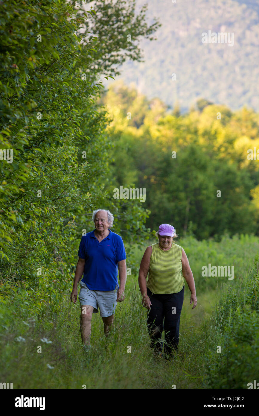 Un paio di passeggiate sul bordo di una foresta in Duxbury, Vermont. (MR) Foto Stock