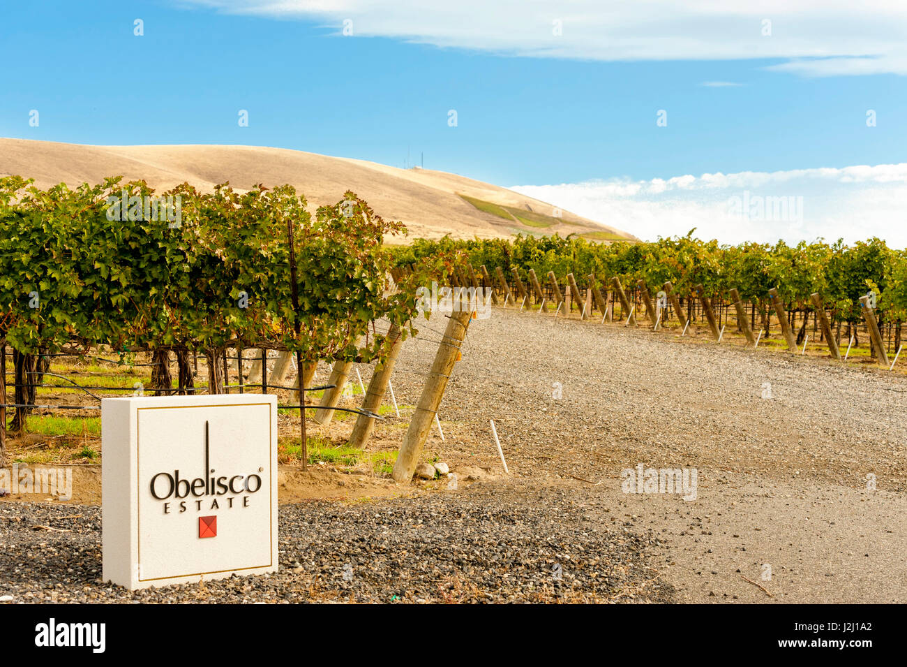 Stati Uniti d'America, nello Stato di Washington, Montagna Rossa. Obelisco Estates vigna. Foto Stock