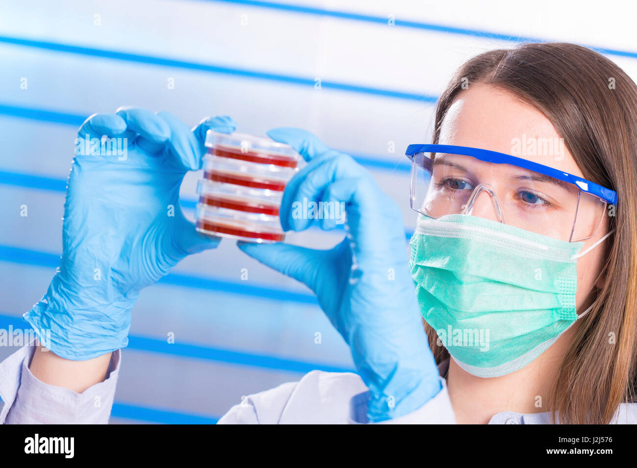 Donna scienziato che indossa la maschera e occhiali di sicurezza esaminando in capsule di petri. Foto Stock