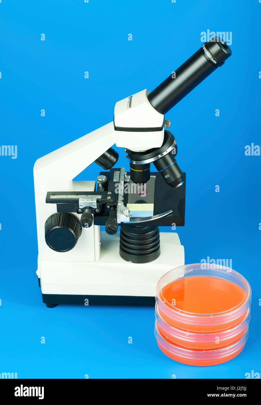 Microscopio e capsule di petri contro sfondo blu. Foto Stock