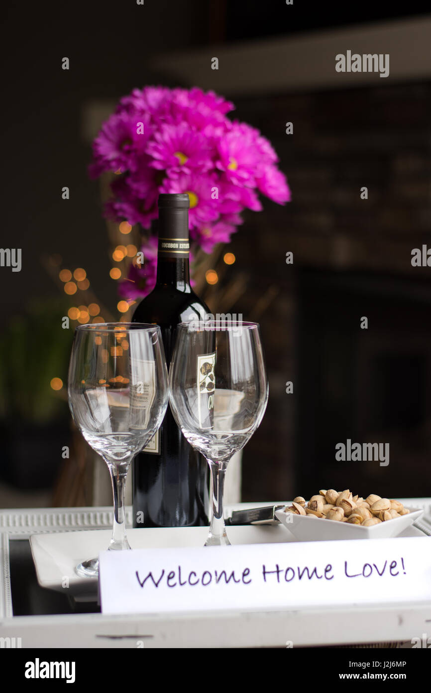 Una gradita sorpresa di casa con vino e snack e il cane di famiglia. Foto Stock