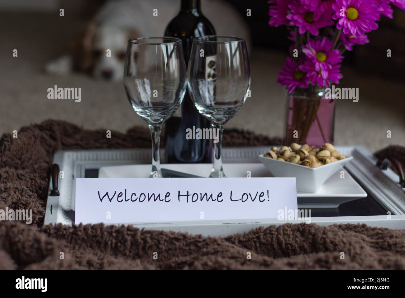 Una gradita sorpresa di casa con vino e snack e il cane di famiglia. Foto Stock