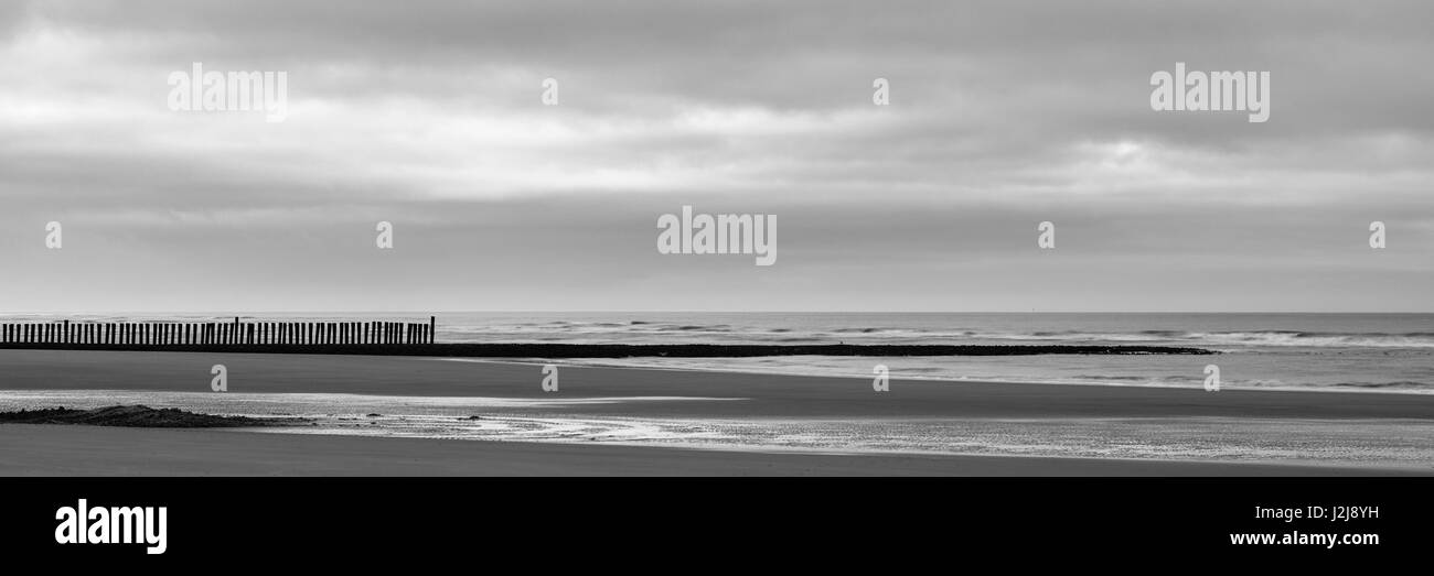 Struttura di frangionde sulla spiaggia nord a Wangerooge a bassa marea, spiaggia, Germania, Bassa Sassonia, il Mare del Nord, la bassa marea, inverno Foto Stock
