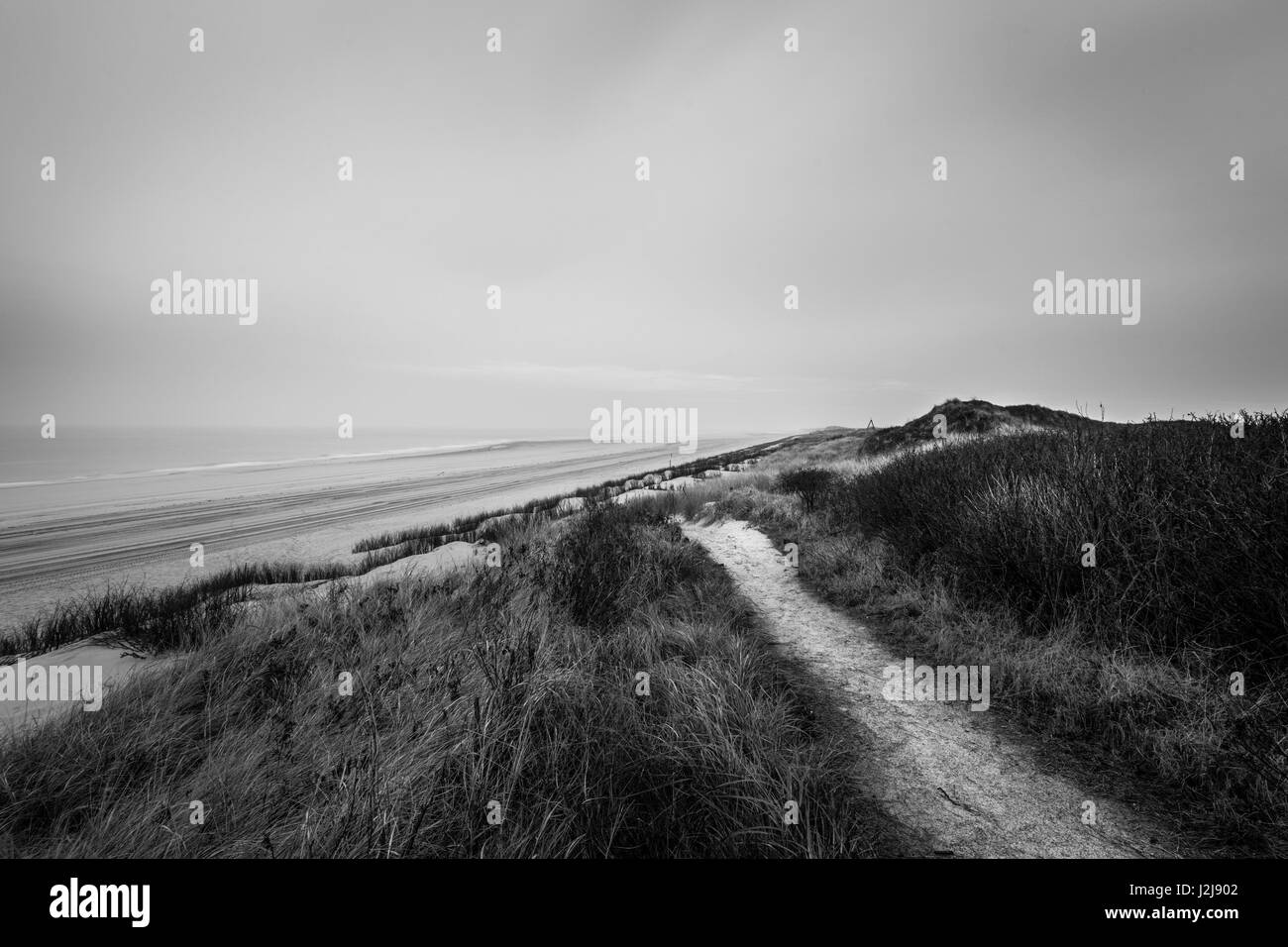 Percorso di dune sul lungomare a Wangerooge, Germania, Bassa Sassonia, isola, isola del Mare del Nord, inverno Foto Stock
