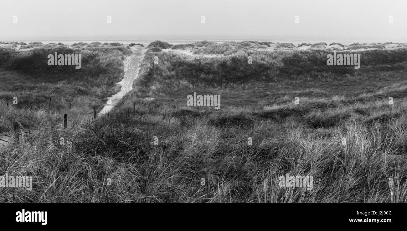 Titolo / sentiero oltre le dune della spiaggia a est, Wangerooge, Germania, Bassa Sassonia, isola, isola del Mare del Nord, inverno Foto Stock