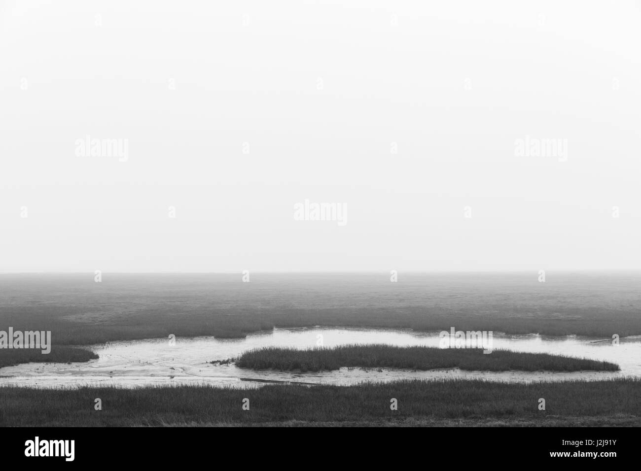 Vista del fango appartamenti verso sud a Wangerooge, Germania, Bassa Sassonia, isola, isola del Mare del Nord, inverno, nebbia Foto Stock