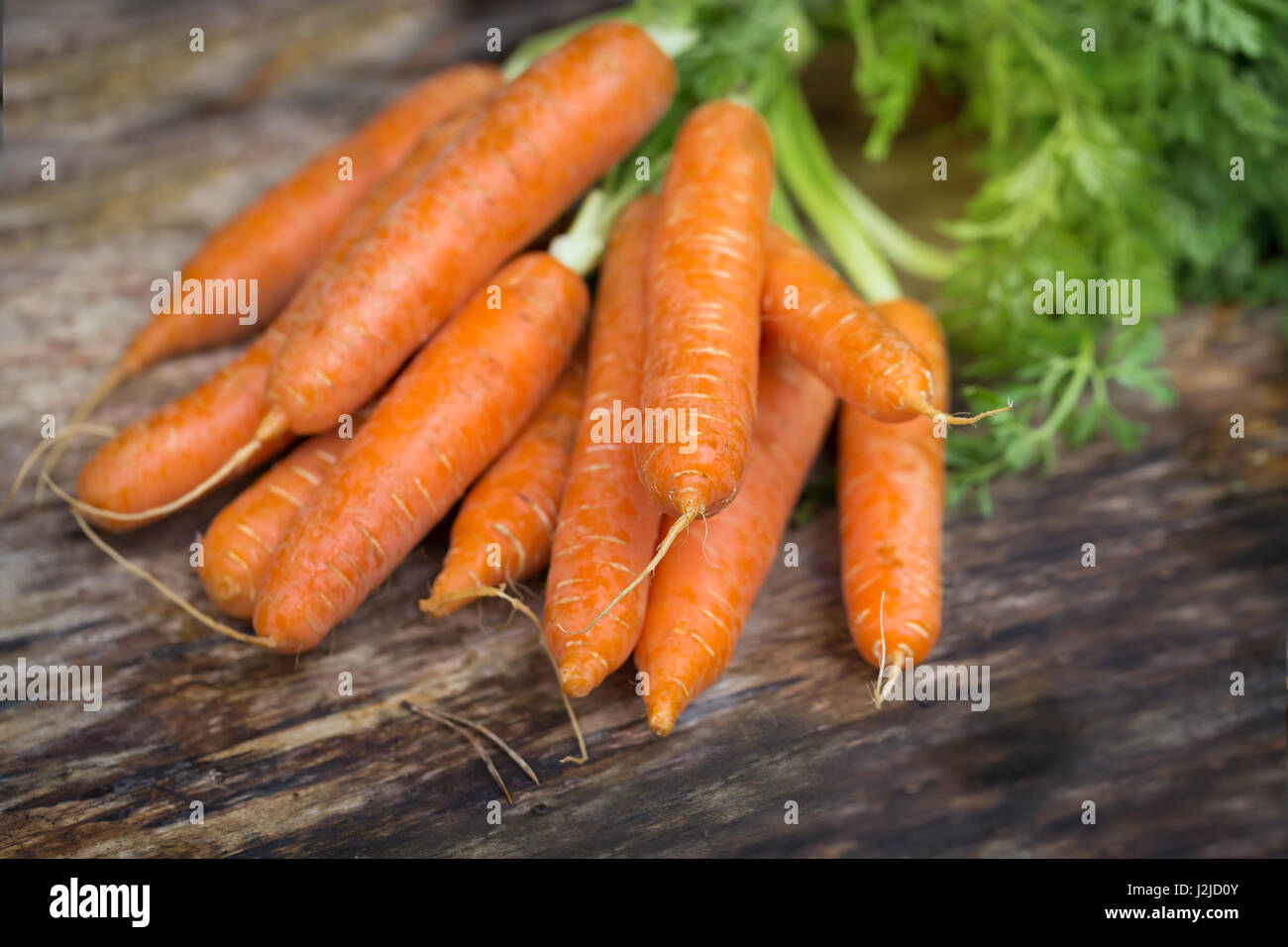 FreshCarrot su sfondo di legno Foto Stock