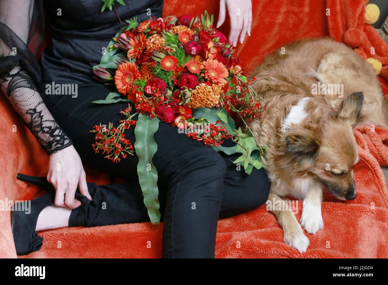 Giovane donna seduta sul divano con la sua cute cane e un enorme bouquet di fiori. Rilassatevi dopo un grande evento in famiglia. Foto Stock