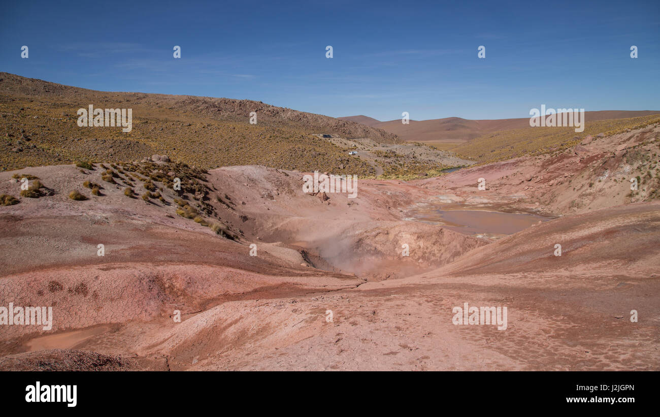 Il gorgogliamento piscine di fango nei pressi di El Tatio, un campo di geyser nelle Ande nel nord del Cile ad una altitudine di 4,320 metri e vicino al confine con la Bolivia Foto Stock