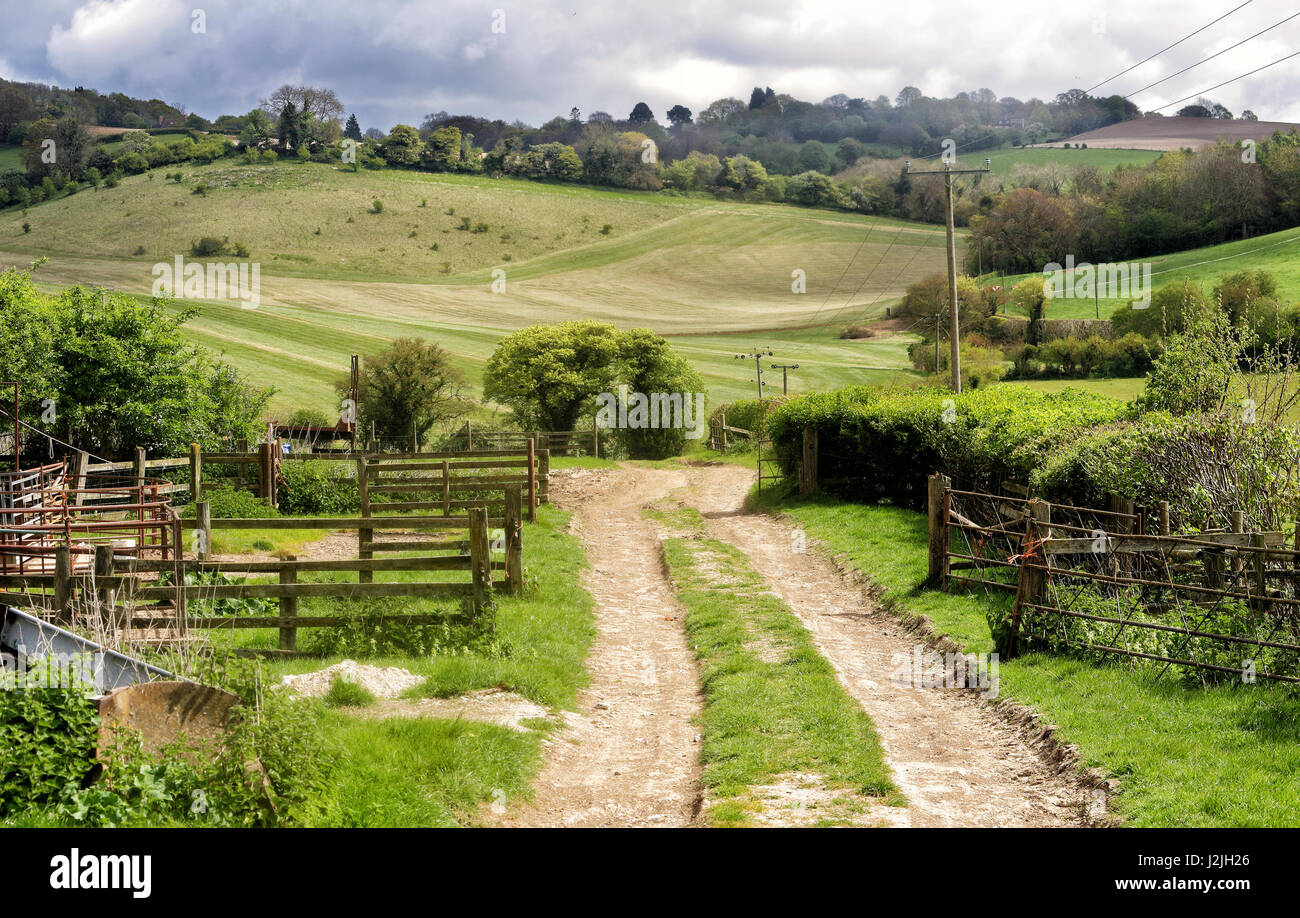 Paesaggio di primavera nella Chiltern Hills in Inghilterra con la fattoria via tra i campi Foto Stock