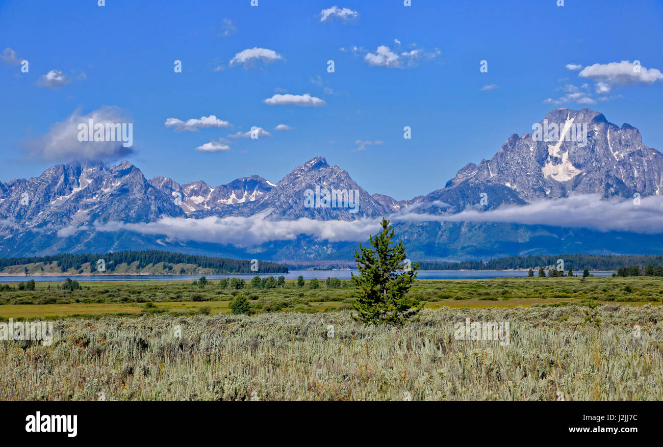 Stati Uniti d'America, Wyoming. Il lago Jackson con il Grand Teton Mountains credito come: Jean Carter Jaynes / Galleria / DanitaDelimont.com Foto Stock