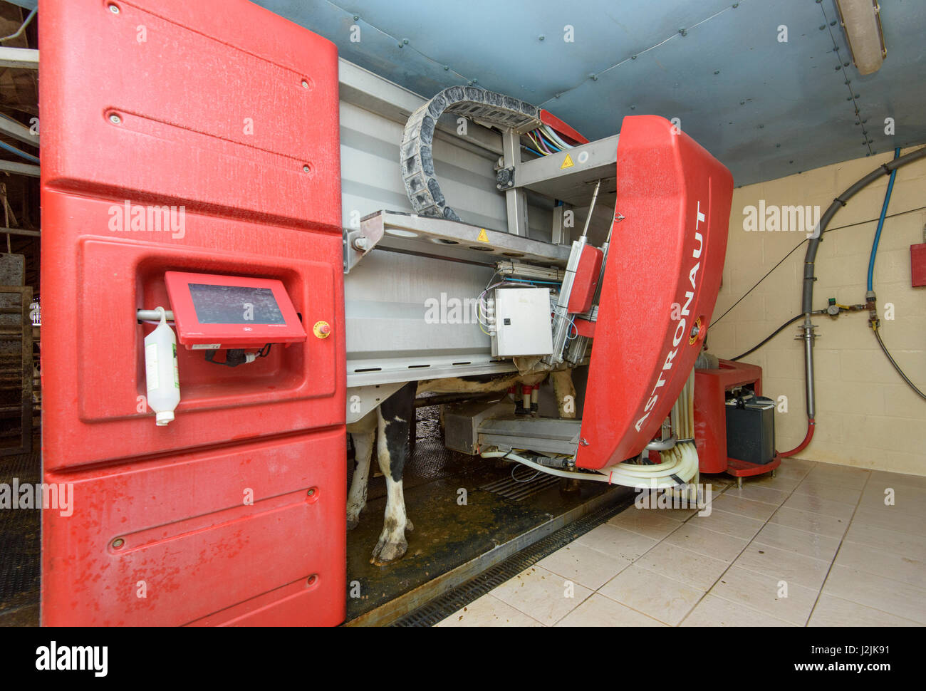 Un astronauta di mungitura robotizzata macchina funzionante in un armadio casa su un caseificio, Staffordshire. Foto Stock