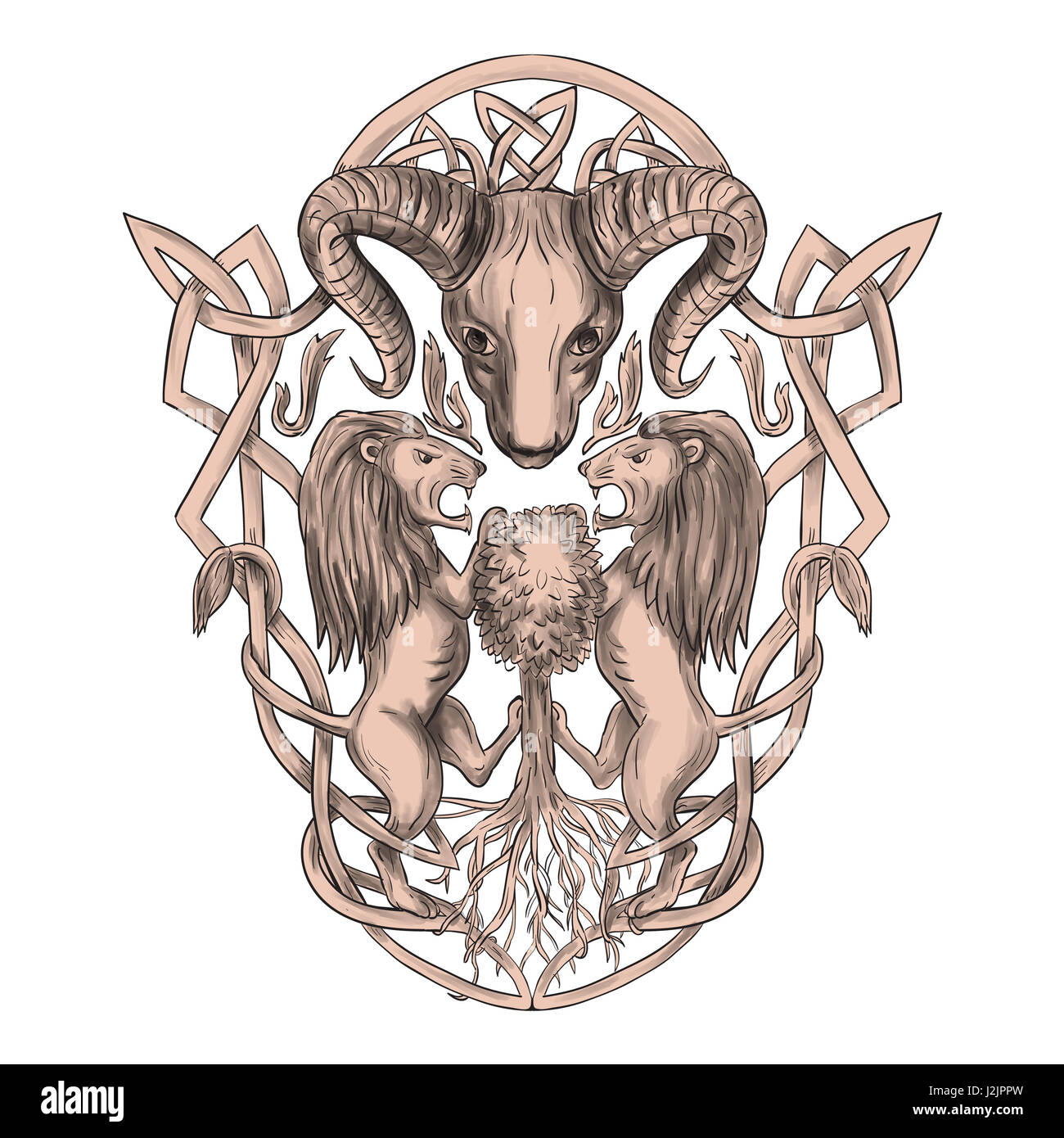 Lo stile di tatuaggio illustrazione di stilizzata bighorn testa con due sostenitori lion arrampicata su albero con nodo celtico, chiamato Icovellavna, treccia o di lavoro Foto Stock