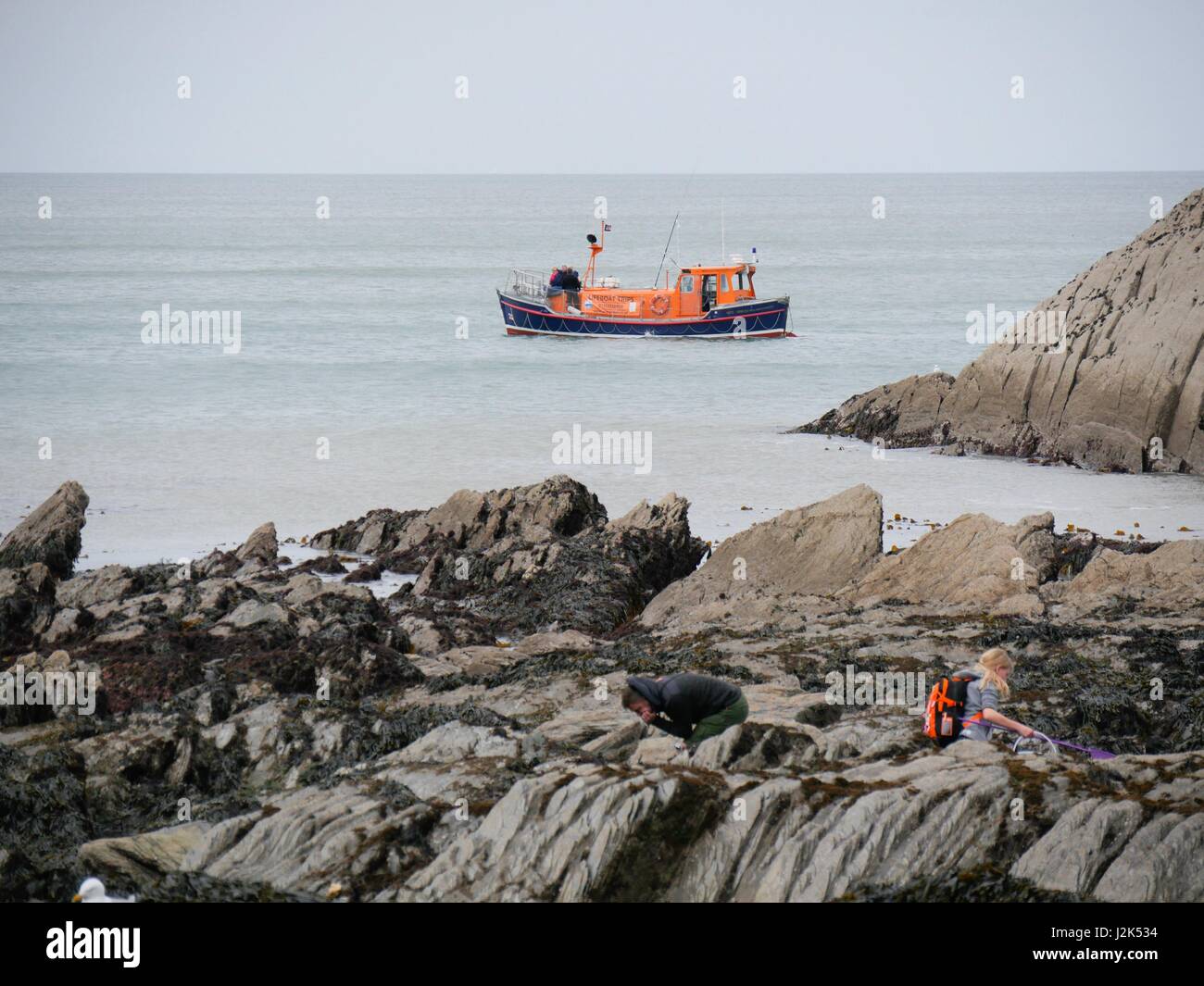 Ilfracombe, Devon, Regno Unito. Il 29 aprile 2017. Persone il pooling di roccia su una banca vacanze weekend nonostante fosse un freddo giorno nuvoloso. Credito: DTNews/Alamy Live News Foto Stock