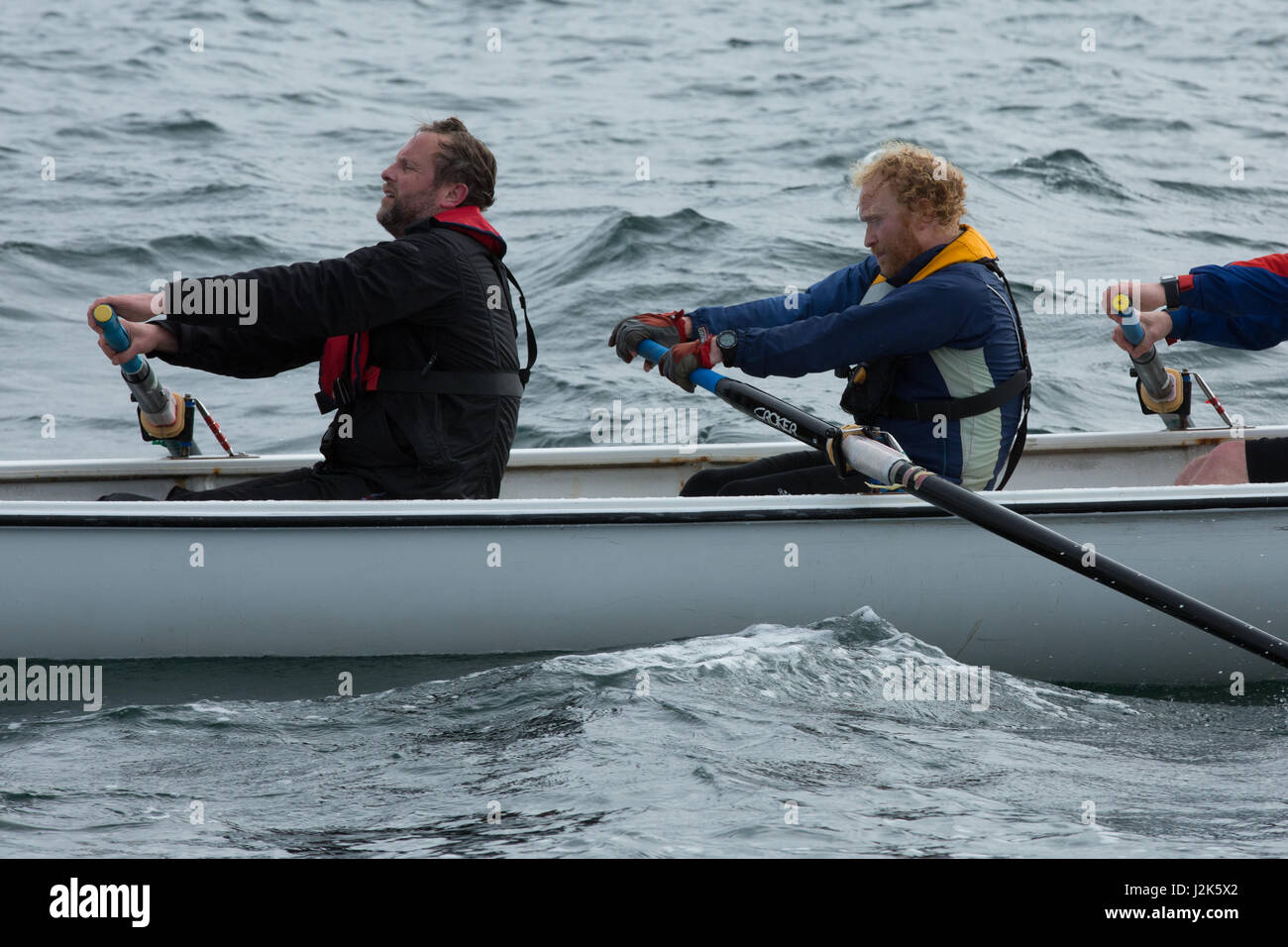 Mare irlandese, UK. 29 aprile 2017 Aberystwyth mens rowing team competere nel 2017 Celtic sfida tutta sul mare irlandese, che ha cominciato ad Arklow in Irlanda con la linea del traguardo a Aberystwyth Harbour entrata nel Galles. Le squadre remato circa 96 miglia attraverso la notte nel mare d' Irlanda. Ogni squadra è composta da dodici vogatori, alternandosi in gruppi di quattro per fila, mentre una nervatura di supporto (barca) li trasferisce a e da un accompagnamento yacht. © Ian Jones/Alamy Live News Foto Stock