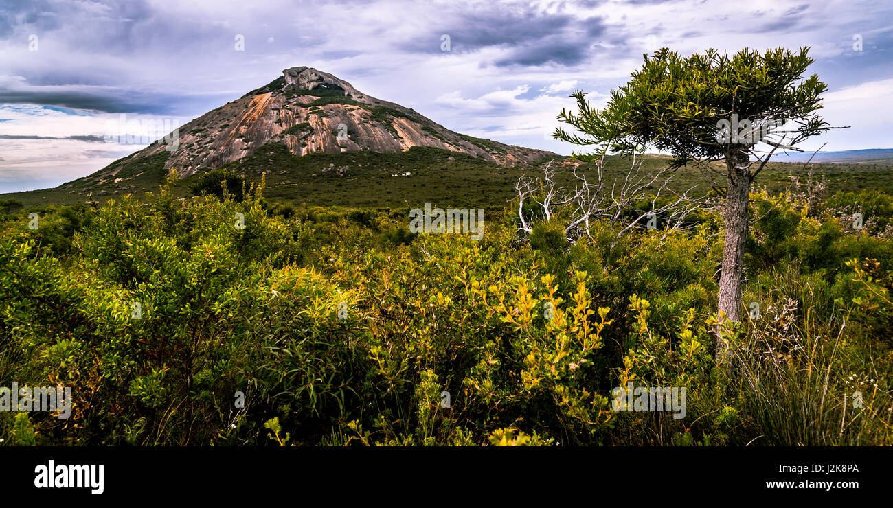 Picco Frenchmans in Cape Le Grand National Park, Australia occidentale Foto Stock