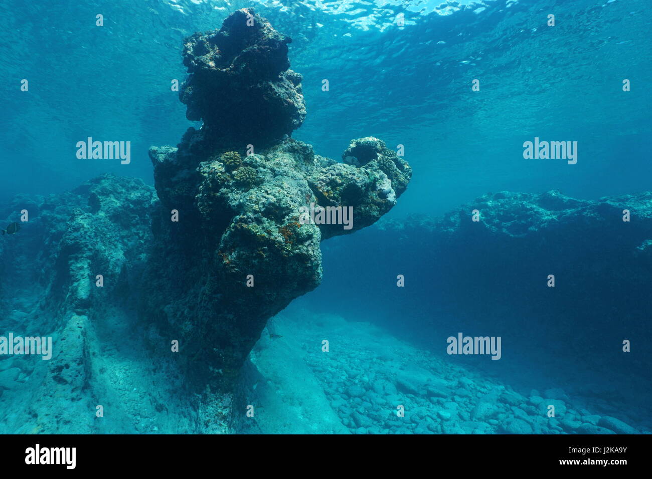 Oceano Pacifico formazione rocciosa naturale underwater scolpite dalle onde nella barriera corallina esterna di Huahine isola, Polinesia Francese Foto Stock