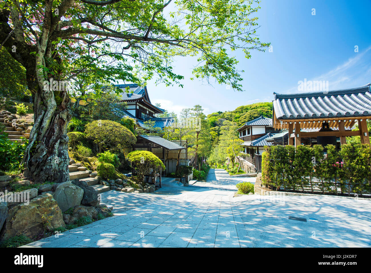 Il monastero in Kencho-Ji tempio di Kamakura, Giappone. Questo è il luogo in cui i monaci in treno in meditazione Zen e di solito esclusivamente chiusa ai visitatori. Foto Stock