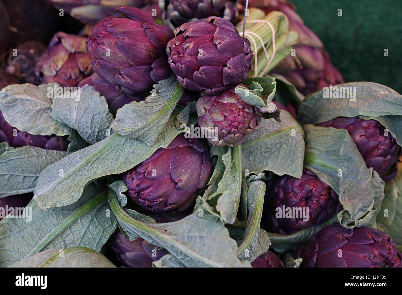 Viola freschi carciofi con foglie verdi sul mercato al dettaglio, display a basso angolo di visione Foto Stock