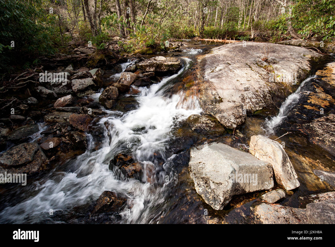 Cascata cascata fuori la Highway 215 - Pisgah National Forest, vicino Brevard, North Carolina, STATI UNITI D'AMERICA Foto Stock