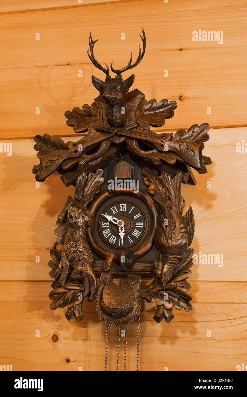 Close-up di legno marrone orologio cucù sulla parete pineta all'interno di  un piccolo cottage in stile casa di registro Foto stock - Alamy