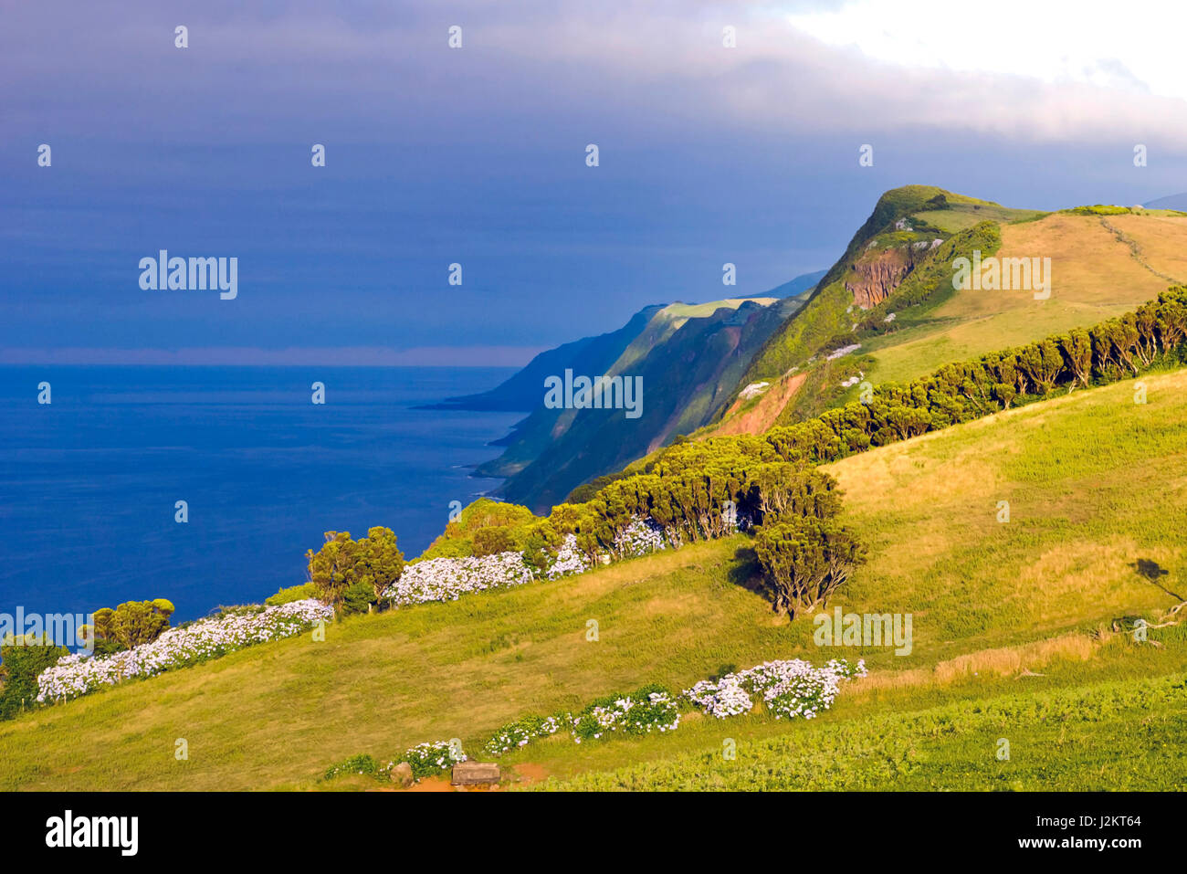 Pomeriggio vista sulle scogliere di Sao Jorge island, Azzorre Foto Stock