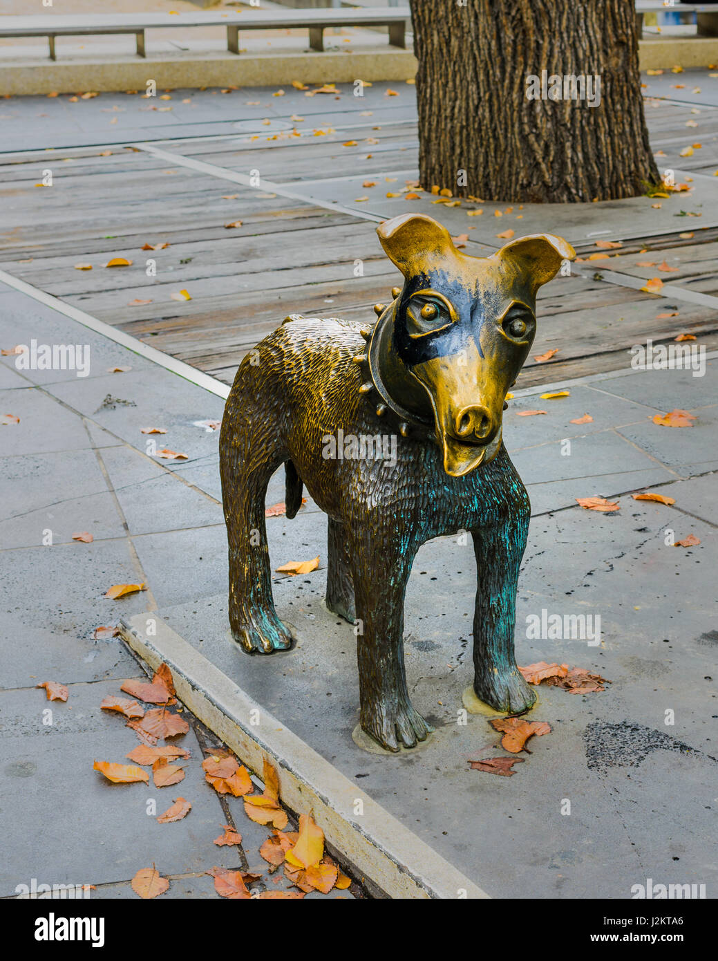 La Trobe statua di un cane nel CBD di Melbourne, Victoria, Australia Foto Stock