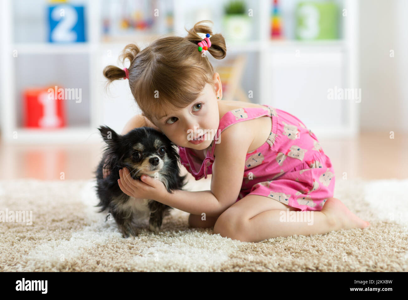 Bambina con Chihuahua cane in camera per bambini. Bambini pet amicizia Foto Stock