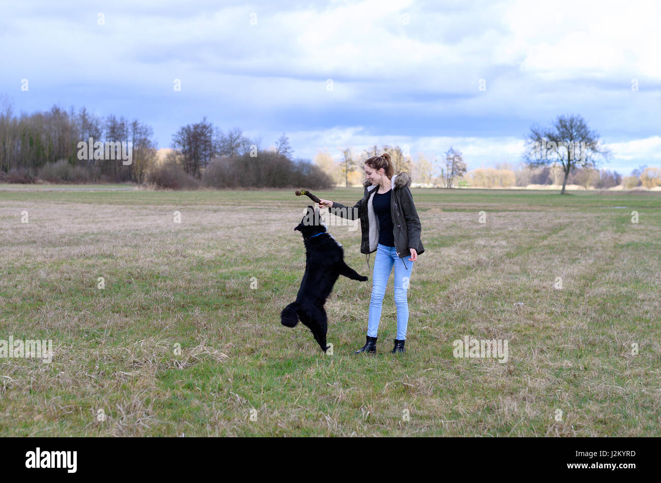 Cane energico salto per un bastone tenuto dal suo giovane donna proprietario saltando midair come lei sostiene nella sua mano mentre gioca fetch insieme in una zona rurale Foto Stock