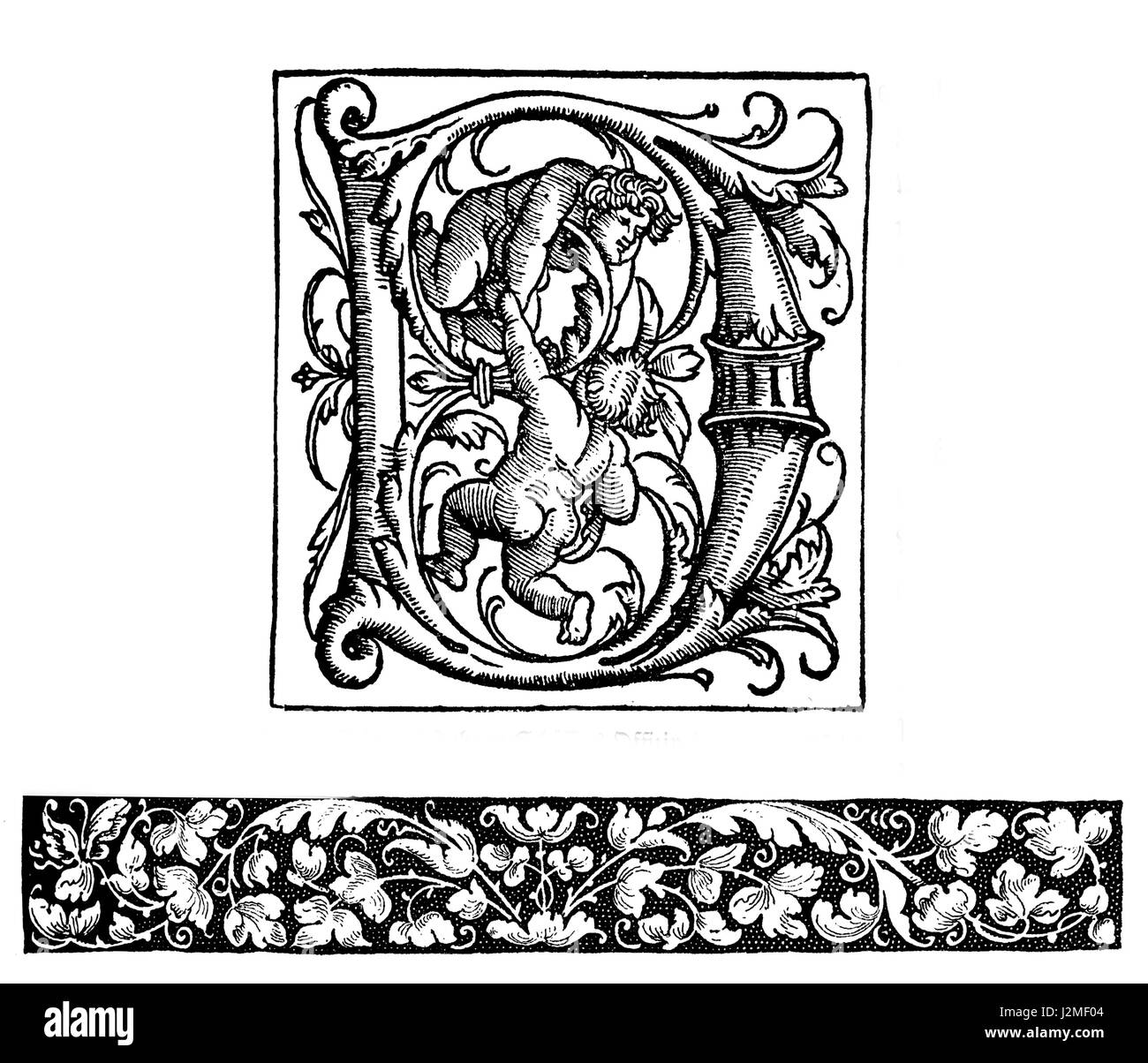 XVI secolo opere d'arte, decorate lettera maiuscola D e tipografiche bordo floreale Foto Stock