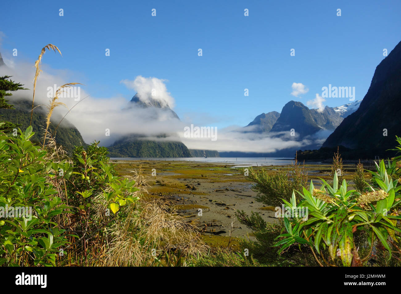 Milford Sound, Nuova Zelanda Foto Stock