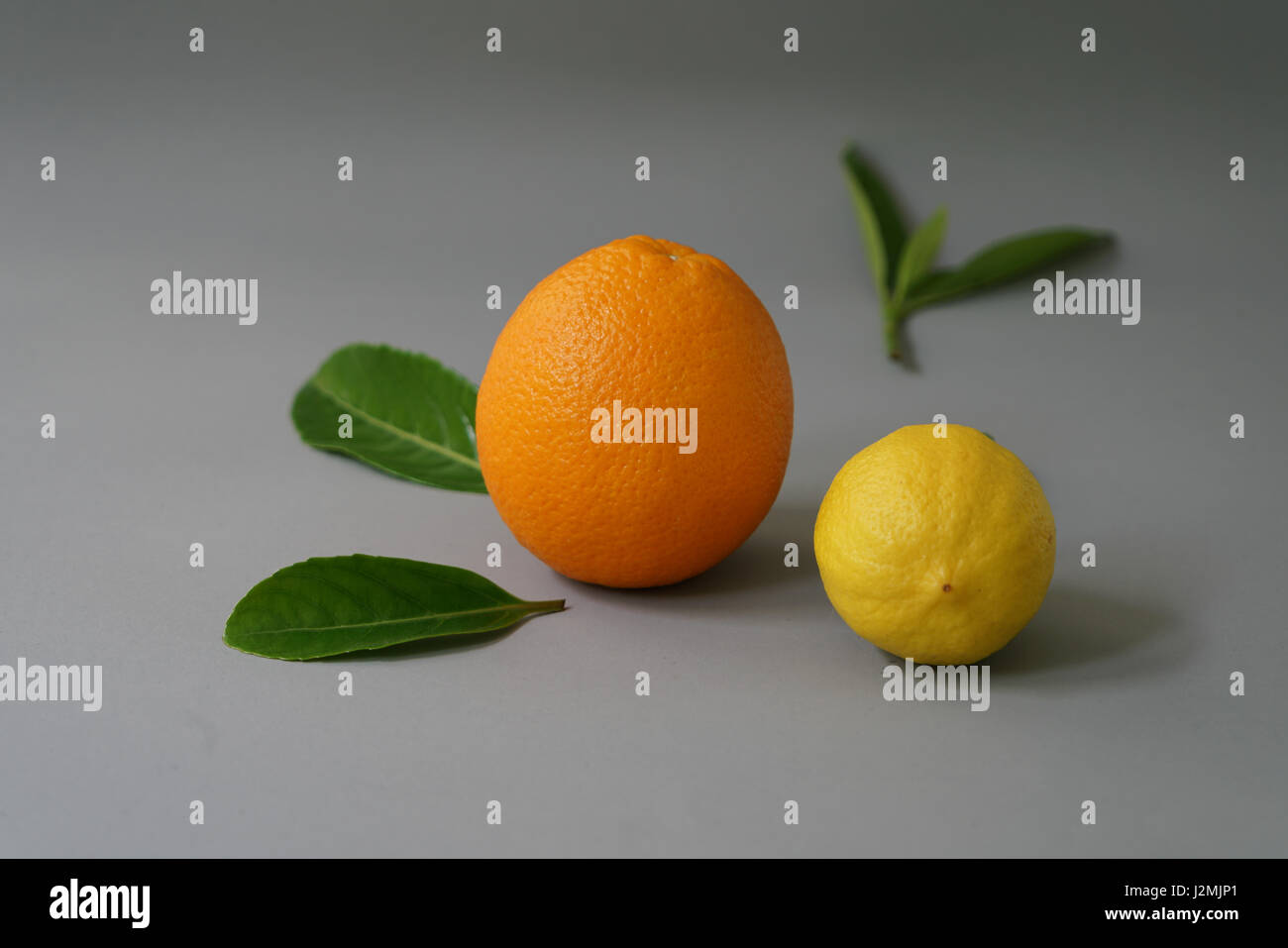 Organici di arancia e di limone su sfondo grigio - isolato Foto Stock