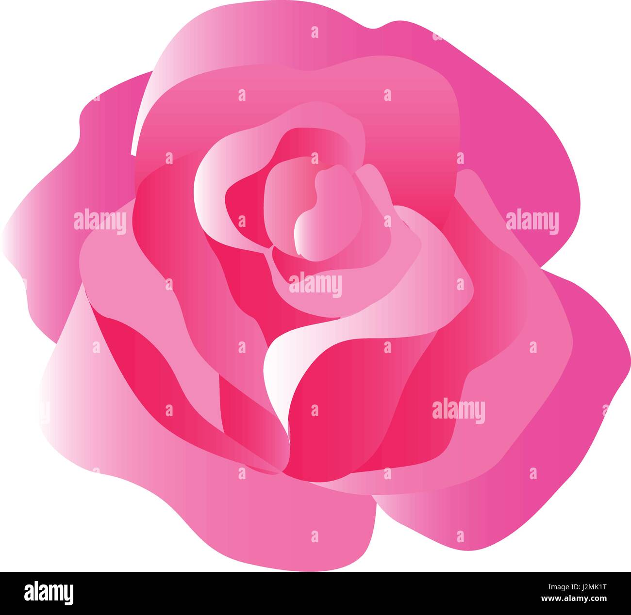 Gara bocciolo di rosa in equilibrata di tonalità di rosso, rosa e bianco Illustrazione Vettoriale