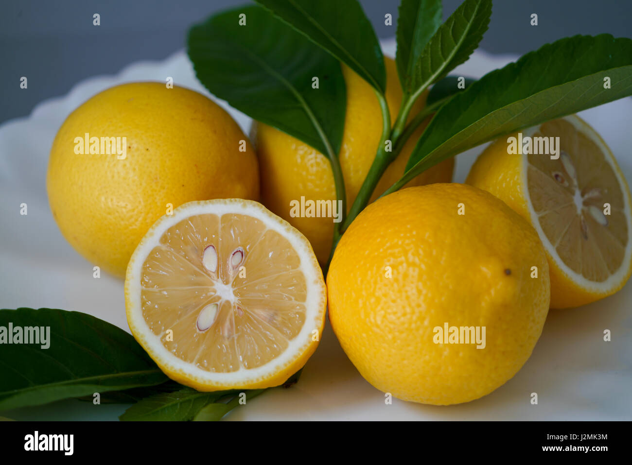 Organici di limone e lasciare sulla piastra bianca con lo sfondo grigio - isolato Foto Stock