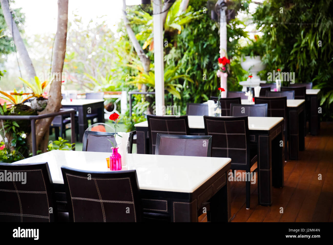 Red Carnation flower in vetro su tavoli di un ristorante Foto Stock