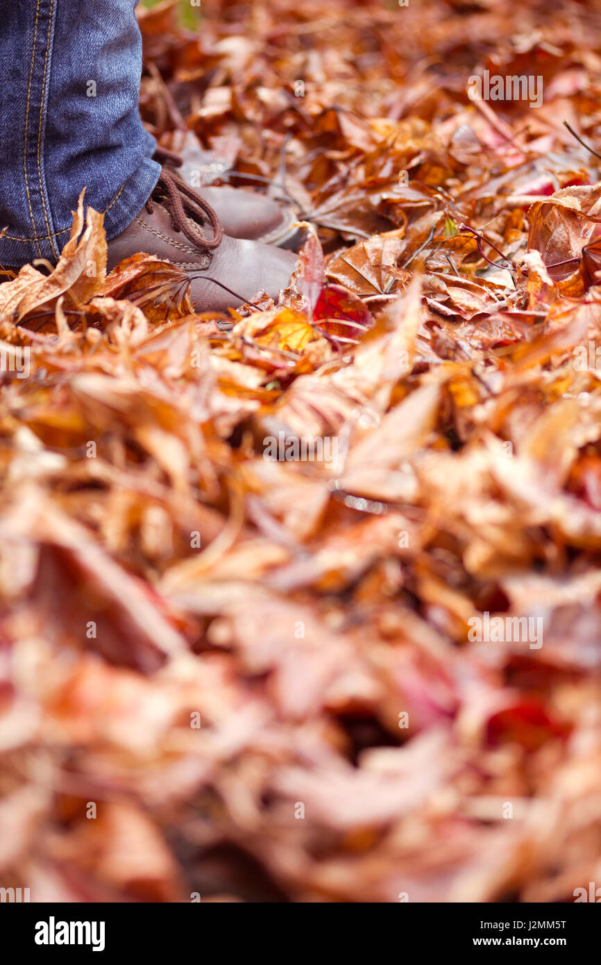 Bambino dei piedi e delle gambe in piedi in foglie di autunno aspetto verticale - manichino utilizzato, rilasciare non richiesto Foto Stock