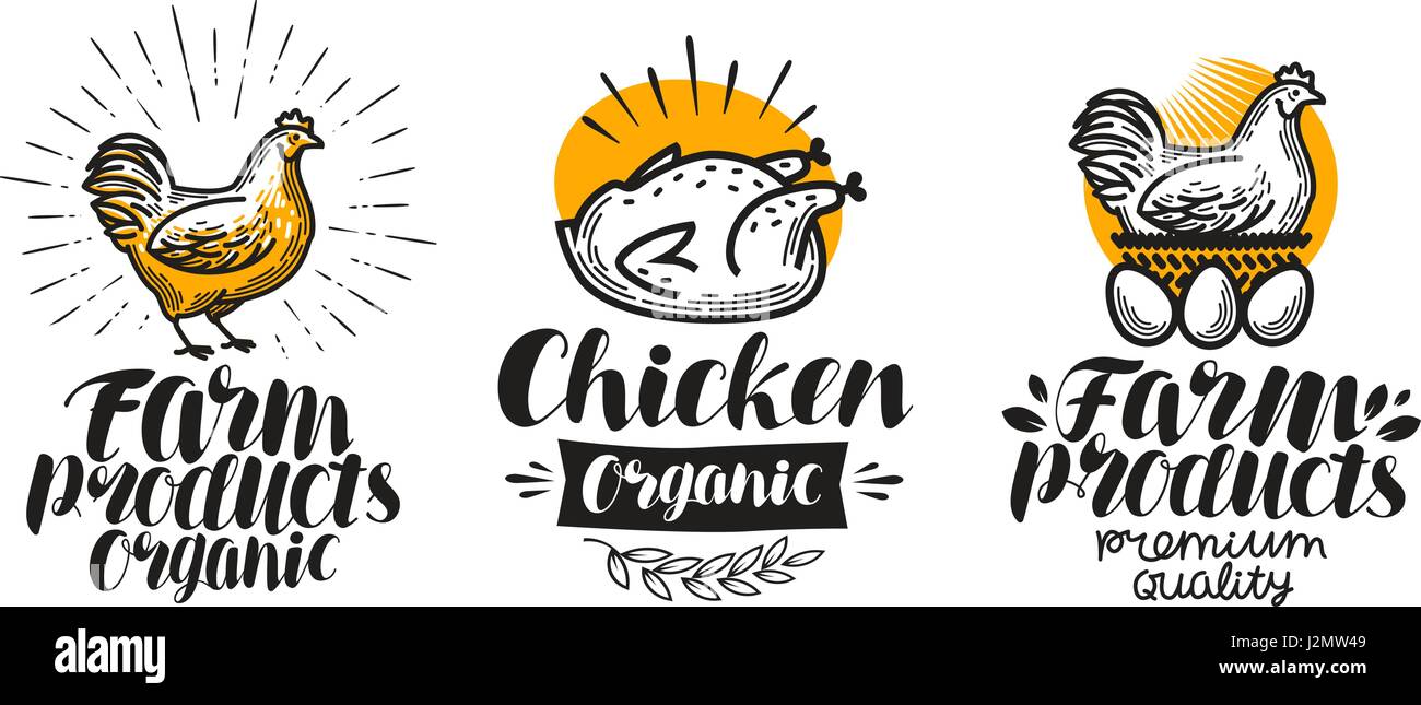 Pollo, gallina set di etichette. Azienda agricola di pollame, uova, carne, broiler, pullet icona o logo. Lettering illustrazione vettoriale Illustrazione Vettoriale