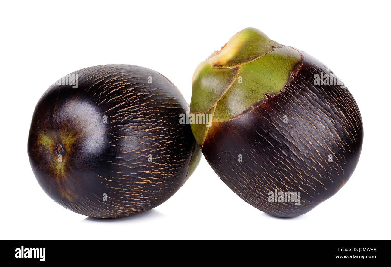 Asian Palmyra palm, Toddy palm, Sugar Palm isolati su sfondo bianco. Foto Stock